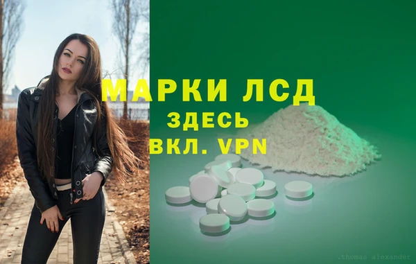 сатива Медногорск