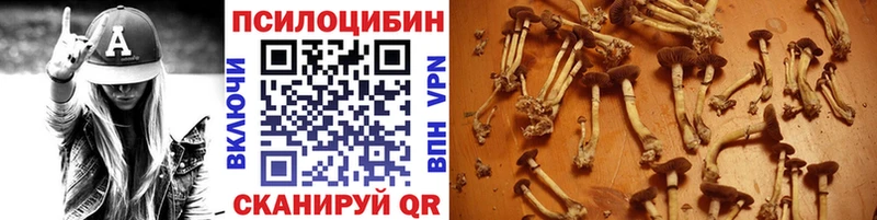 ОМГ ОМГ как зайти  магазин продажи   Неман  Галлюциногенные грибы Psilocybe 